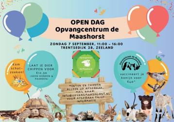 Open dag opvangcentrum de maashorst!!! (konijn, vogel enz..) beschikbaar voor biedingen