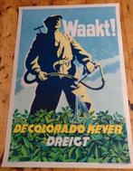 Waakt! De coloradokever dreigt - Affiche, Verzamelen, Posters, Rechthoekig Staand, Ophalen of Verzenden, Zo goed als nieuw, A1 t/m A3