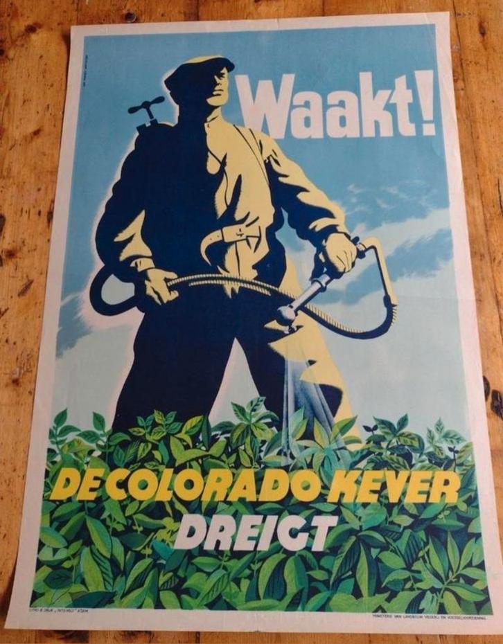 Waakt! De coloradokever dreigt - Affiche, Verzamelen, Posters, Zo goed als nieuw, Reclame, A1 t/m A3, Rechthoekig Staand, Ophalen of Verzenden