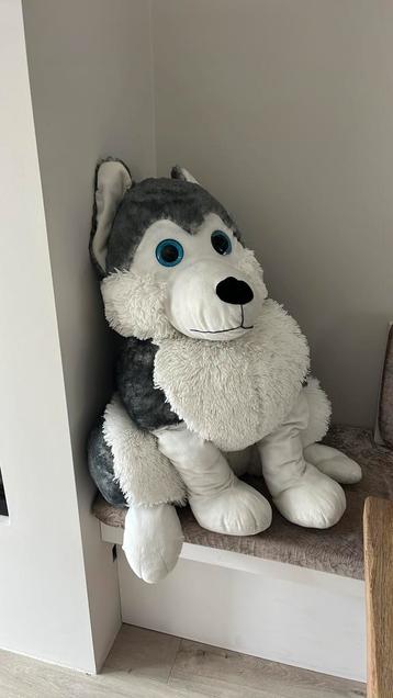 Grote knuffel hond beschikbaar voor biedingen