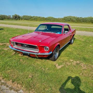 Ford mustang V8 1968 te huur met chauffeur