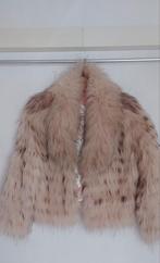 Dames jasje vos, Kleding | Dames, Jassen | Winter, Ophalen of Verzenden, Zo goed als nieuw, Maat 38/40 (M)