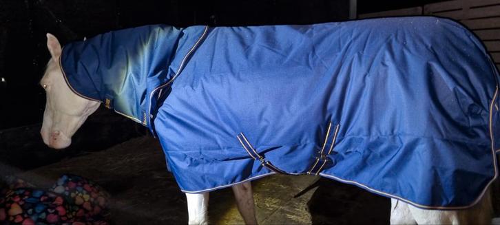 Bucas irish turnout extra 300g 6.6 195. Zo goed als nieuw., Dieren en Toebehoren, Paarden en Pony's | Dekens en Dekjes, Zo goed als nieuw