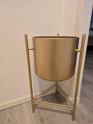 Gouden Plantenbak beschikbaar voor biedingen
