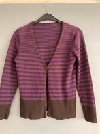 Paars/Bruin Vest - Maat M, Ophalen of Verzenden, Zo goed als nieuw, Maat 38/40 (M), Paars