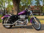 Harley Davidson Sportster 1200XL 2001 custom, Motoren, Motoren | Harley-Davidson, 1200 cc, Particulier, 2 cilinders, Chopper