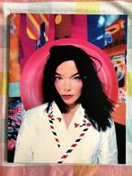 Fotoboek Björk bij album " Post", Ophalen of Verzenden, Zo goed als nieuw, Artiest