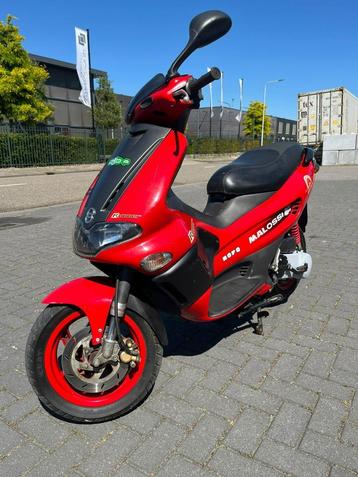 gilera runner 50cc malossi  beschikbaar voor biedingen