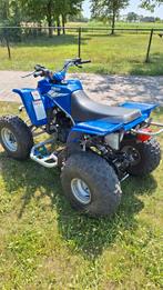 Yamaha blaster 200 cc, Ophalen, Gereviseerd