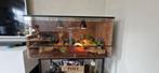 Terrarium met 2 rode rattenslangen., Ophalen, Zo goed als nieuw, Terrarium of Paludarium