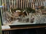 Hamster terrarium, Ophalen, Zo goed als nieuw