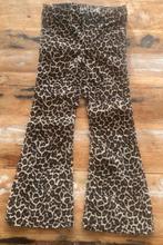 Kids flared luipaard print broek, Ophalen of Verzenden, Zo goed als nieuw, Meisje, Broek