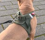 Hondenharnas Curli, Ophalen of Verzenden, Zo goed als nieuw