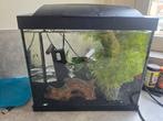 Aquarium met visjes, Dieren en Toebehoren, Vissen | Aquaria en Toebehoren, Ophalen, Gevuld zoetwateraquarium
