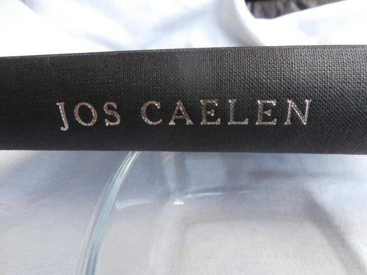 Jos Caelen Kunstenaar, Antiek en Kunst, Kunst | Overige Kunst, Ophalen of Verzenden