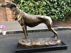 bronzen hond greyhound hazewindhond windhond beeld, Ophalen of Verzenden