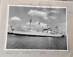 Oude foto van m.s. Zaanland - koninklijke hollandsche lloyd, Verzamelen, Gebruikt, Foto, Ophalen of Verzenden, 1940 tot 1960