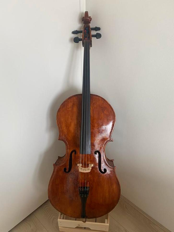 Profesional cello 4/4, Muziek en Instrumenten, Strijkinstrumenten | Cello's, Gebruikt, 4/4-cello, Met koffer, Ophalen of Verzenden