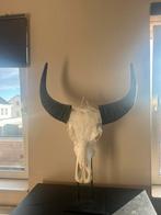 Waterbuffel Schedel op Statief - Uniek Decoratieobject, Ophalen