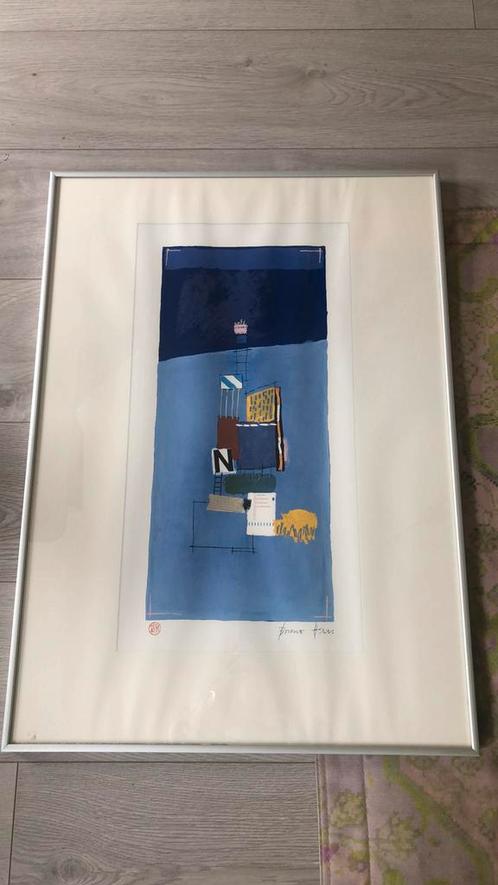 Bruno Haas De Top, Antiek en Kunst, Kunst | Overige Kunst, Ophalen of Verzenden