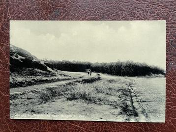 ansichtkaart van Zeeweg en Wandelpad naar Bergen aan Zee. beschikbaar voor biedingen