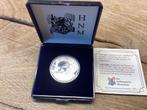 Munt, Ophalen of Verzenden, Koningin Beatrix, Losse munt, Zilver