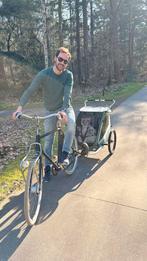 Thule Fietskar - Perfect voor kinderen/huisdieren!, Fietsen en Brommers, Ophalen, Vering, Zo goed als nieuw, Kinderkar