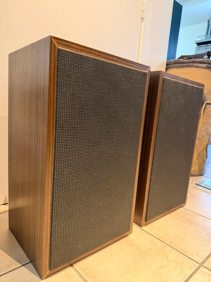 Vintage Coral PA-luidsprekers (70’) - 10” H-152S + Flat-8, Audio, Tv en Foto, Luidsprekers, Gebruikt, Front, Rear of Stereo speakers