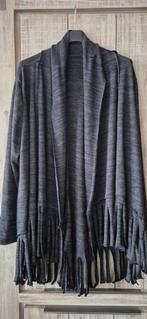 Grijs Vest met franjes - One size, Kleding | Dames, Grote Maten, Ophalen of Verzenden, Zo goed als nieuw, Grijs, Trui of Vest