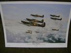 Dogrose squadron., Foto of Poster, Luchtmacht, Ophalen of Verzenden, Engeland