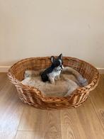 Rieten honden mand voor kleine hond / nieuw / 60x50 cm, Dieren en Toebehoren, Ophalen of Verzenden, Nieuw, Riet