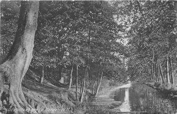 (388-461-047) Bergen NH De Kattenberg beschikbaar voor biedingen