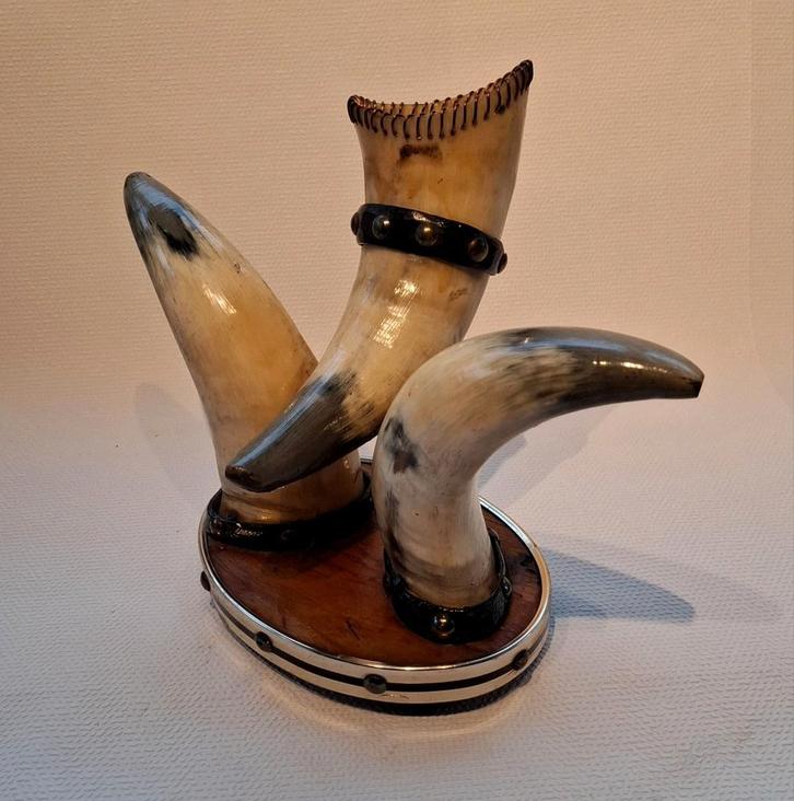 Decoratieve Viking Hoorns, Antiek en Kunst, Curiosa en Brocante, Ophalen of Verzenden