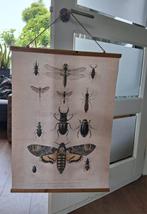 Poster Insecten, Ophalen of Verzenden, Gebruikt