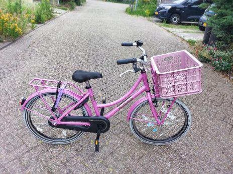alpina 22 inch zeer mooi meisjes fiietsje, Fietsen en Brommers, Fietsen | Meisjes, Zo goed als nieuw, 22 inch, Ophalen