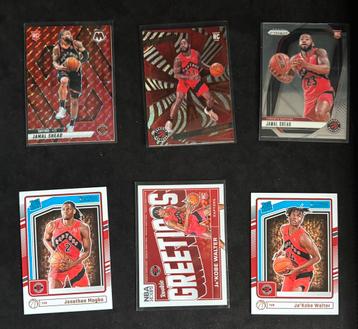 11x Rookies Totonto Raptors beschikbaar voor biedingen