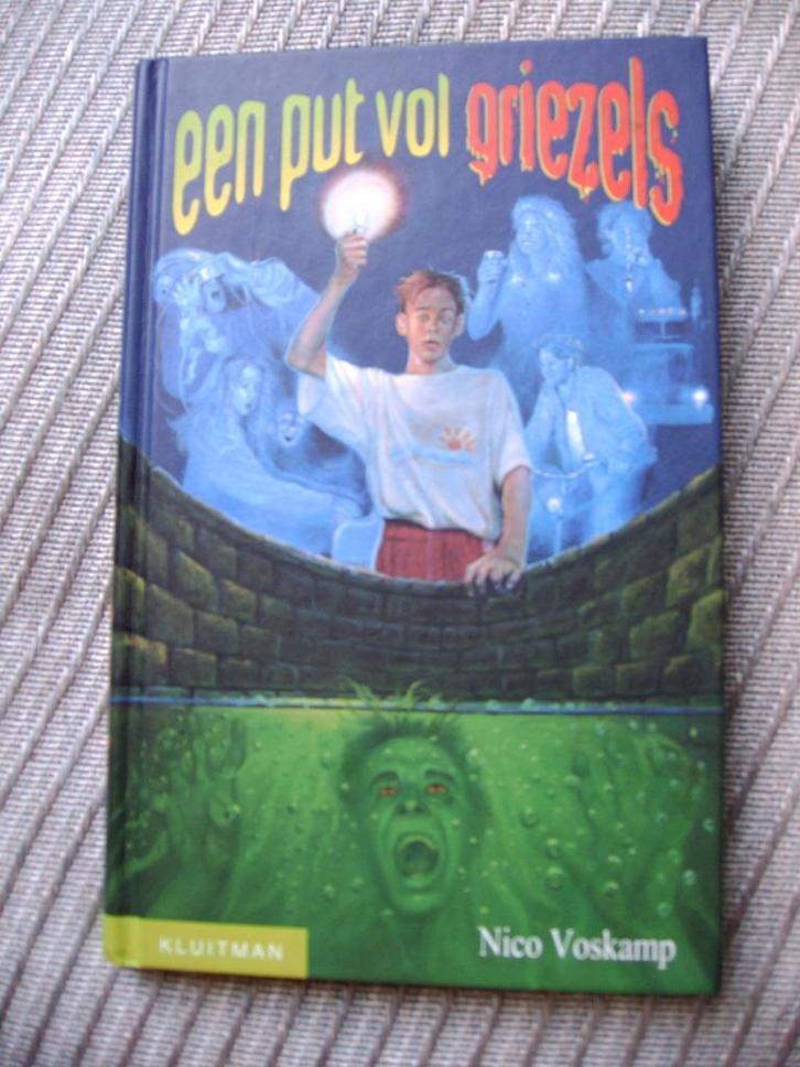 Een put vol griezels-Nico Voskamp, Boeken, Kinderboeken | Jeugd | 10 tot 12 jaar, Zo goed als nieuw, Ophalen of Verzenden