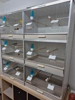 Gehu vogel kooi., Ophalen, Zo goed als nieuw, Metaal, Vogelkooi