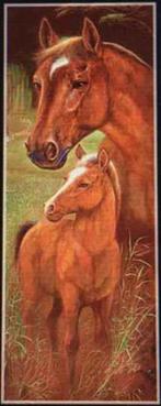 Diamond Painting nr 4 Paardjes OP=OP LAATSTE, Ophalen, Nieuw, Materiaal