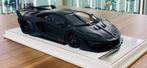 1:18 Davis and Giovanni (D&G) Lamborghini LB Aventador carbo, Ophalen of Verzenden, Nieuw, Auto, Overige merken