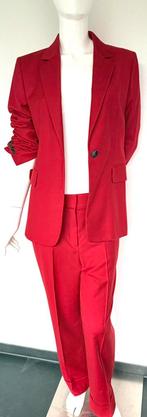 MASSIMO DUTTI 2-DELIG PAK, WIJNROOD, 40, ALS NIEUW️️️❤️❤️❤️, Kleding | Dames, Jasjes, Kostuums en Pakken, Maat 38/40 (M), Kostuum of Pak
