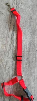 Honden veiligheids riem, Ophalen of Verzenden