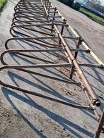 boxen jongvee, Dieren en Toebehoren, November, Geslacht onbekend