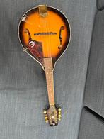 Epiphone Mandoline EF30SACH1 - Gebruikt, Ophalen, Gebruikt