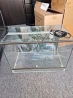 Terrarium B 60 x H 40 x D 35, Ophalen