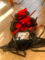 Mooie backpack rugtas, Sieraden, Tassen en Uiterlijk, Tassen | Rugtassen, Ophalen of Verzenden, Gebruikt