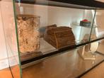 Zeer ruim z.g.a.n. staat terrarium voor knaagdieren, Minder dan 60 cm, Minder dan 75 cm, Ophalen of Verzenden, Zo goed als nieuw