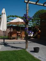 Super stevige pergola balken, moet ivm verhuizing snel weg!, Ophalen, Gebruikt, Overige typen