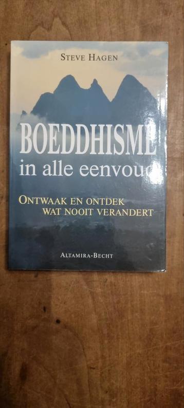 Boeddhisme in alle eenvoud - Steve Hagen beschikbaar voor biedingen