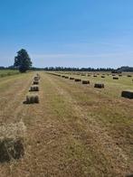 KLEINE HOOI PAKJES, Dieren en Toebehoren, Ophalen, Vee